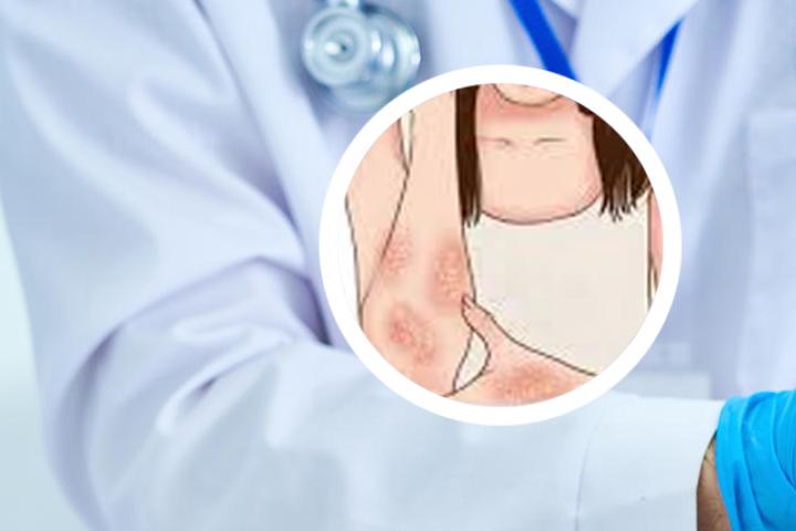 点舌丸的主要成分是什么 各自功效是怎样